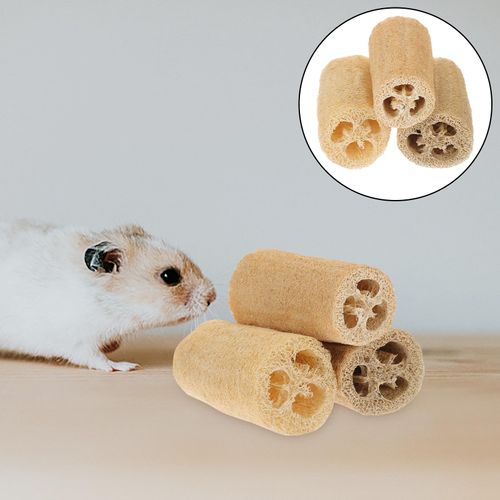 3Pcs Loofah Chewing Toys Natural Dish Sponge Bird Molar Slices Pet Playthings for Small Animals Rabbits Chinchillas Guinea Pigs Hamsters