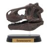 73501 Dinosaur T-Rex Skull Mini Model (FDW – 501)