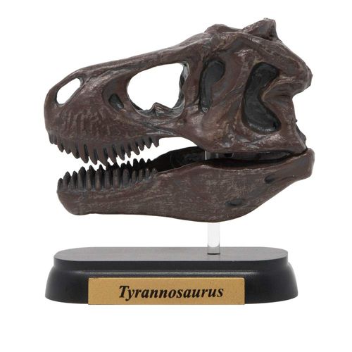 73501 Dinosaur T-Rex Skull Mini Model (FDW – 501)