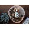Green Capsules Propolis, 6.6 oz (200 mg) / 90 Capsules, 4 Times Concentrated Propolis Extract