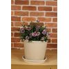 Momikku Pot No. 8 WH