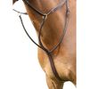 Shires Salisbury Running Martingale-Australian Nut Cob
