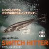 Daiwa Morethan Switch Hitter, Sea Bass Lure