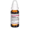 DHU Magnesium phosphoricum D10 Dilution, 20 ml Lösung
