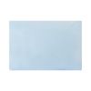McKesson Bed Pillow 19 x 25" Blue Reusable 41-1925-BXF 1 Ct