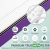 isinlive True HEPA Performance Plus Replacement Filter Compatible with Holmes