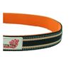 Long Paws Comfort Collar, Reflective, Padded Dog Collar, Medium, Black