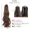 Bright Lara f104-RTC Wig, Ponytail, Long, Natural Clip, Gradient, Ponytail Wig,