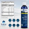 Trace Minerals ConcenTrace Drops | Full Spectrum Minerals | Ionic Liquid Magnesi
