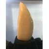  blank Sperm Whale replica tooth ready to scrimshaw #4