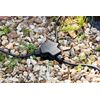 Knightsbridge IP68 3-way Weatherproof Gel Junction Box