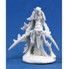 REAPER Dark Elf Warrior (1) Miniature by