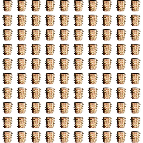 A'sTool 100pcs M4 M6 M8 (M6) Embedded Screw Nuts Woodworking Hex Hole DIY No Brim Insert Nuts