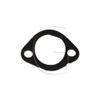 TECUMSEH LAV50, HS50 Exhaust Seal