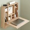 2 Pack Drop Down Hinges for Cabinets (2, 100N)
