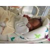 Cuski Miniboo 2 Pack, Prem Baby Comforter, as used within NHS (Cream)