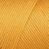 Bulk Buy: Caron Simply Soft Yarn Solids (2-Pack) (Gold)