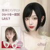 FESHFEN Wig, Short Bob, Side Bang, Diagonal Bang, Women's, Daily Use, Natural, Women's Full Wig, Natural Wig, Natural Wig, Wig with Net