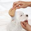 Hakuba Hair Enchanted Healing Brush
