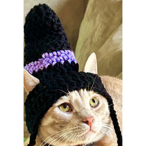 Crocheted Witch Hat For A Cat, Small Dog, Pet Accessory, Cat Clothes, Halloween