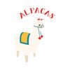 CafePress Alpacas Sticker Square Bumper Sticker Car Decal