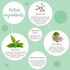 Avoka Naturals Dot & Key Acne Busting Face Serum 30ml