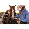 Electro-Cell II Electrolyte Paste for Horses -5-Pack (10 doses)