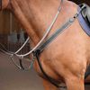 Shires Lusso Three Point Elastic Breastplate - Black Pony