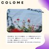 COLOME PURPLE Coloring Supplies, Purple Murashan