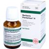 BERBERIS PENTARKAN H Tabletten 200 St