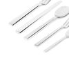 Alessi DC05S5 SANTIAGO 5 PIECE SET, Silver