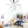 Noiseless Ceiling Fan - Remote Control, 30W Brushless Design for Bedroom /Office