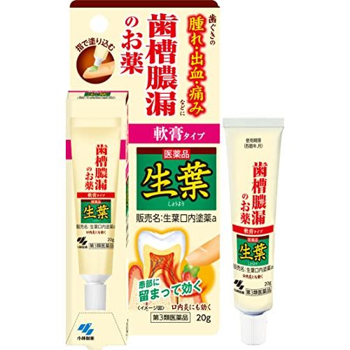 [Third-class OTC drug] Raw leaf oral ointment 20g