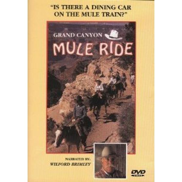 Grand Canyon Mule Ride