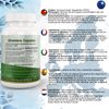 Aloe Vera Capsule