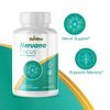 Nervana Focus- Brain Support- 4 Bottles- 240 Capsules