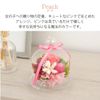 Ruplan Preserved Flower Tart Biket Sweets Set (Baumkuchen) (Peach )
