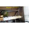 Polly's Cuttlebone Calcium Bird Perch, Small