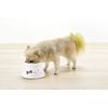 Richell Spill Proof Dog Dish with Legs, White, Small