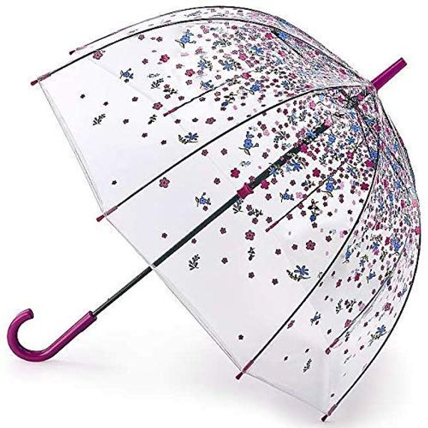 Fulton Tumble Down Petals Clear Birdcage Dome Shape Walking Floral Umbrella