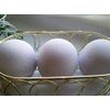 Spa Pure LOVESPELL Bath Bombs - 3 XL Fizzies, Handmade in the USA with Shea, Mango and Cocoa Butter, Ultra Moisturizing, Great for Dry Skin
