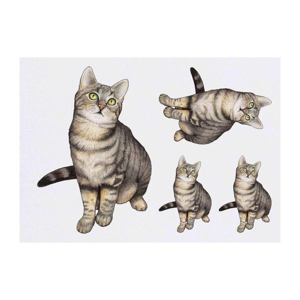 4 x 'Tabby Cat' Temporary Tattoos (TO00013455)