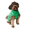 Christmas Trees & Snowflakes Green Pet Accessory Small