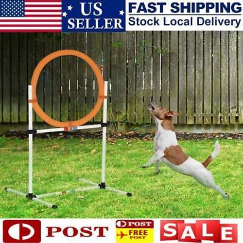 Dog Agility Training Equipment Set Outdoor Indoor Tire  Bar  Adjustable