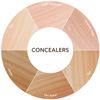 Burt's Bees Concealer (Tan)