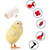 1/2" PVC Tee 12pcs Automatic Poultry Waterer Drinker Cups Chicken Water Nipples