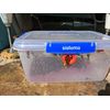 Wasp Trap Ferrules (x20)