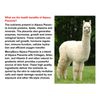 ALPACA  ADN PLACENTA - Anti-envejecim