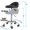 Adjustable Height Hydraulic Rolling Swivel Salon Stool Chair with Backrest Black