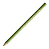 Holbein Color Pencil Moss Green (OP290)